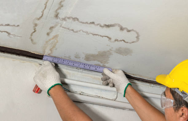 Reliable Burst Pipe Cleanup contractor in McKinney, TX by Water Damage Irwin